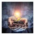 Seed of Consciousness