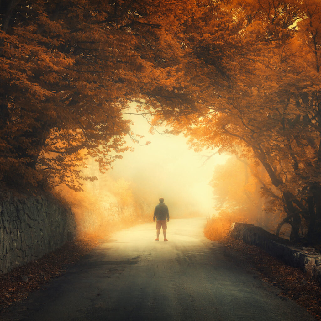 Autumn forest with silhouette of a man on the rural road