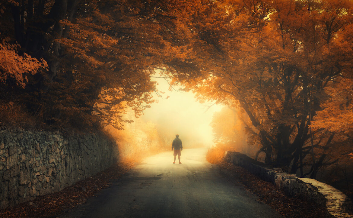 Autumn forest with silhouette of a man on the rural road