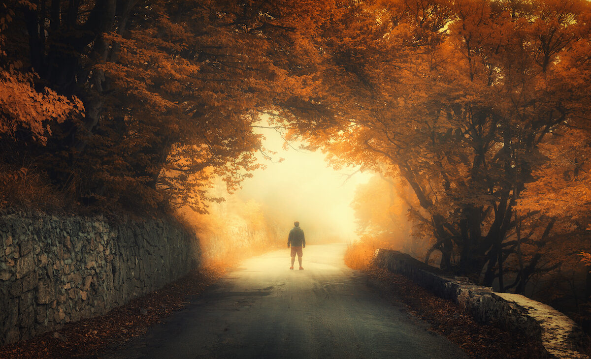 Autumn forest with silhouette of a man on the rural road