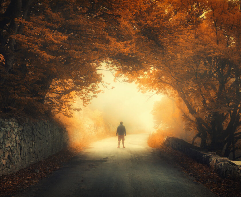 Autumn forest with silhouette of a man on the rural road